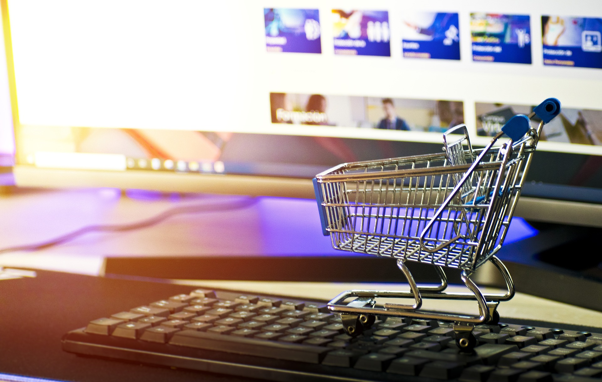 We Want to Know All About Your Favorite Tech Retailers