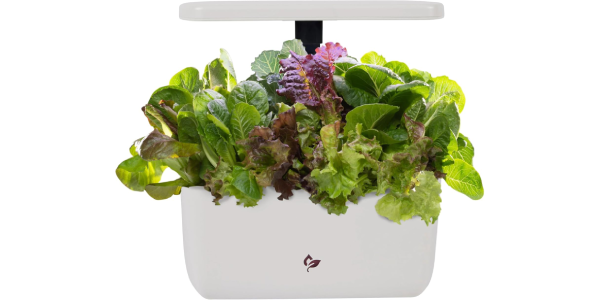 Save 61% on the AeroGarden Harvest 2.0, Indoor Garden Hydroponic System
